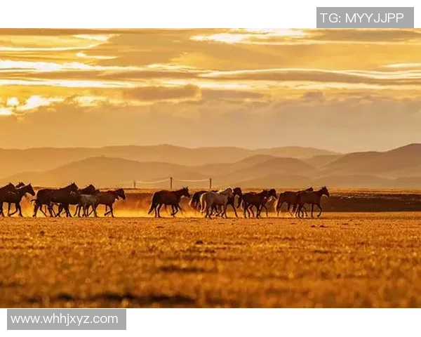 千里足球鞋助力梦想成真引领年轻球员走向辉煌赛场之路